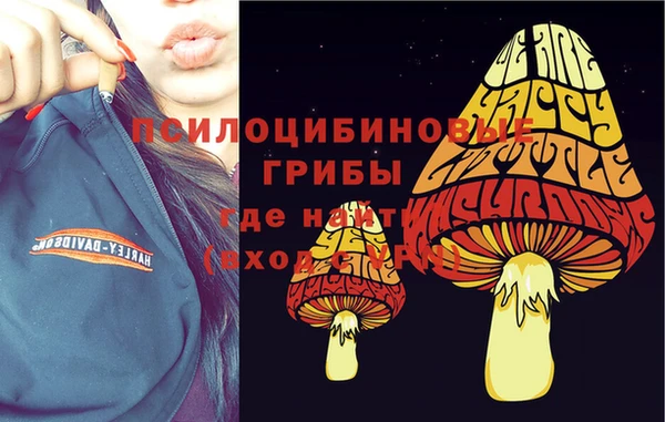 дживик Зеленокумск