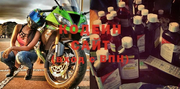 индика Карпинск
